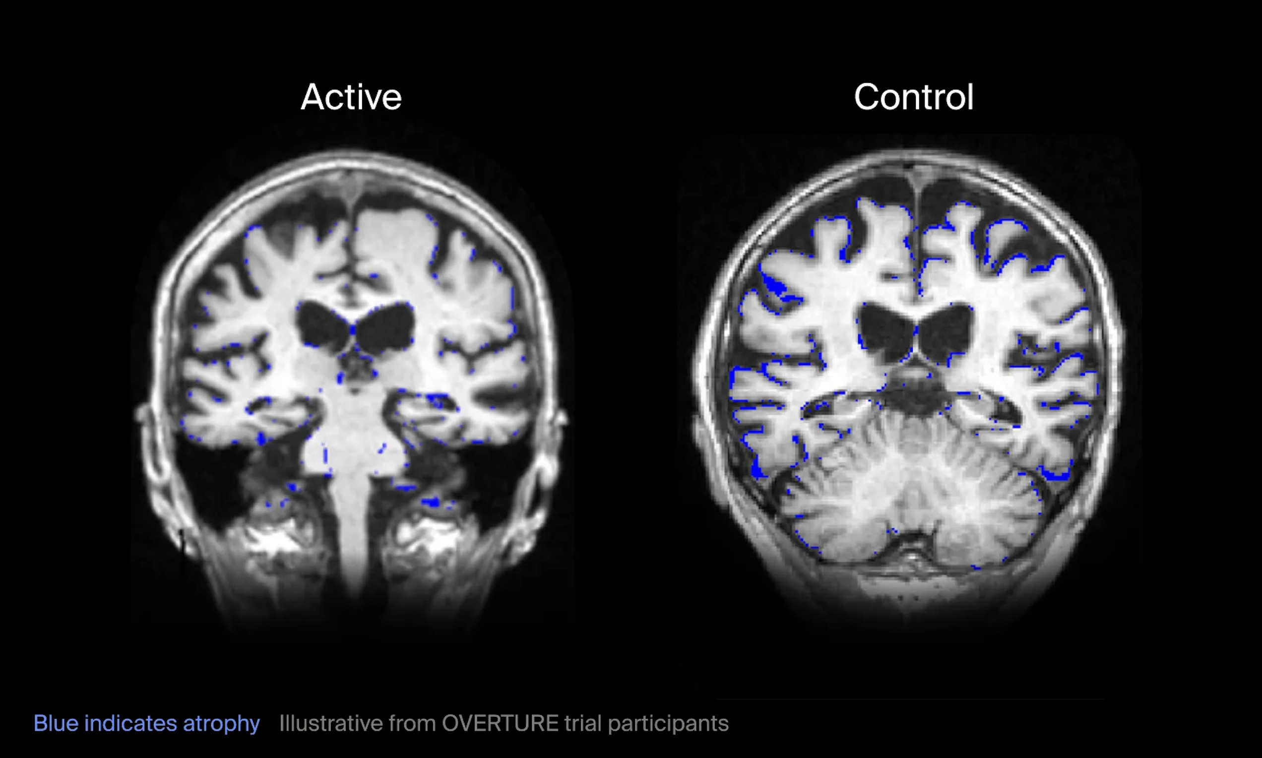Project reference 2, image 2