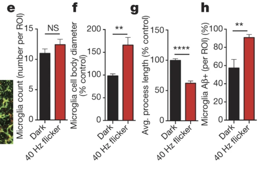 Project reference 2, image 3