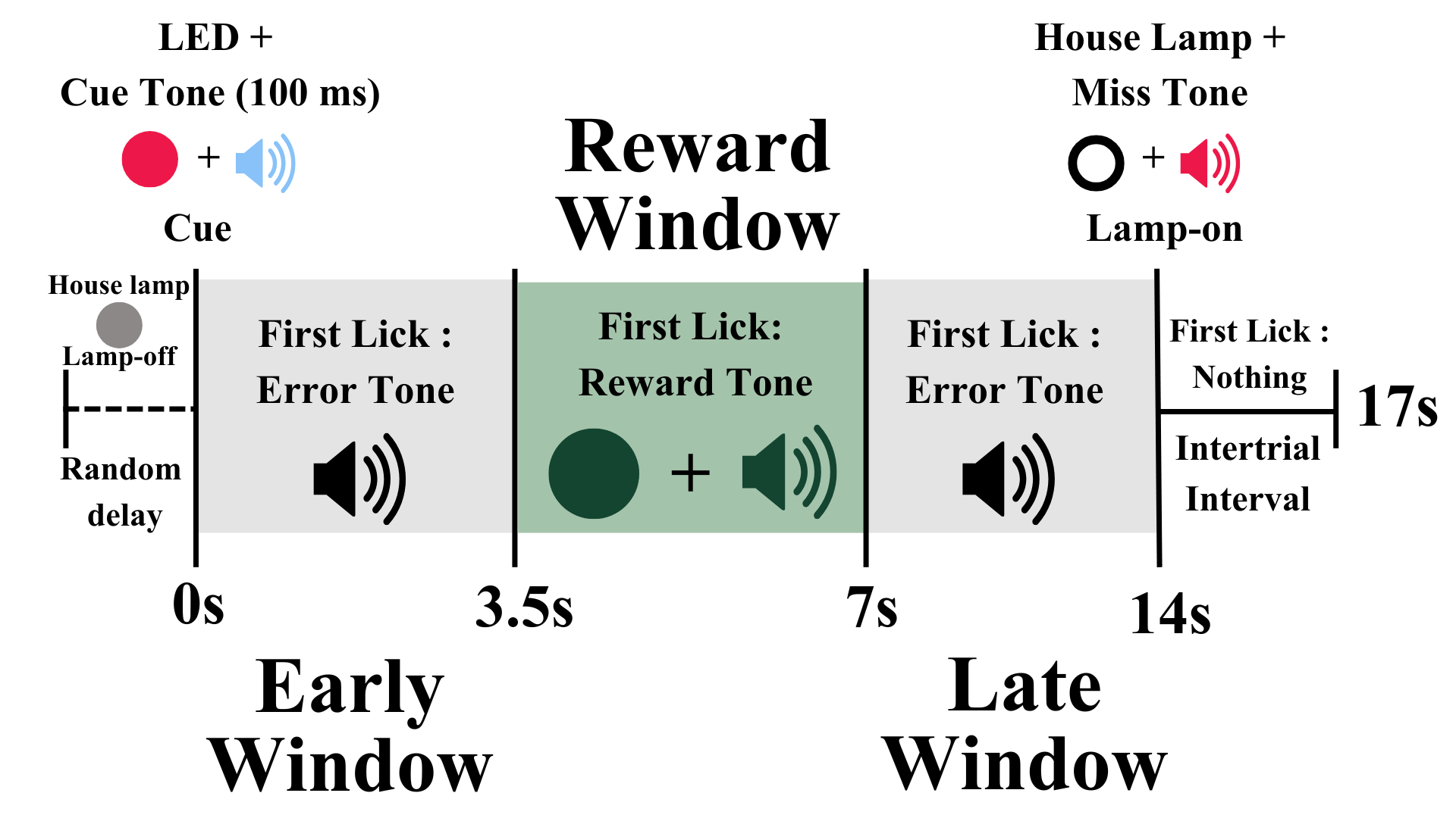 Timeline of One Trial